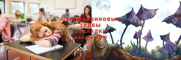 ГАЛЛЮЦИНОГЕННЫЕ ГРИБЫ Ельня